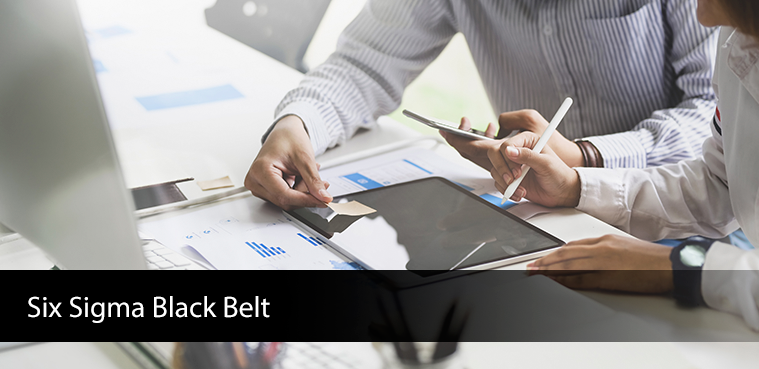 El Six Sigma Black Belt Certificado (CSSBB) es aquel profesional que puede explicar los principios y filosofías de Six Sigma, incluyendo sistemas de soporte y herramientas. Un Black Belt debe demostrar liderazgo de equipos, entender las dinámicas de grupo y asignar roles y responsabilidades a los miembros de un equipo.